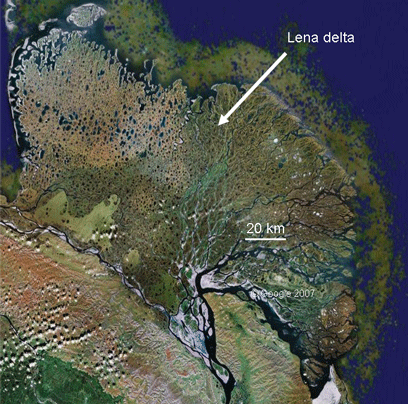 lena delta